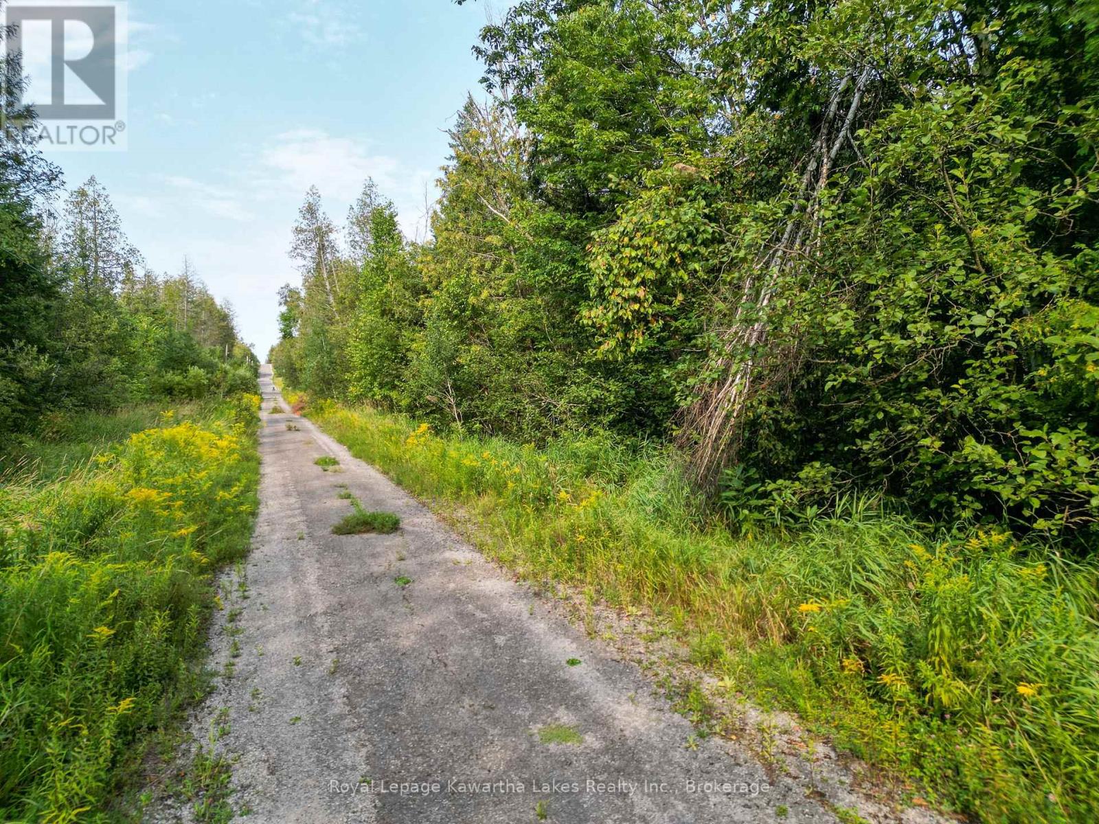 Lt 4 Dutch Line Road W, Trent Lakes, Ontario K0M 2A0 - Photo 6 - X13670424