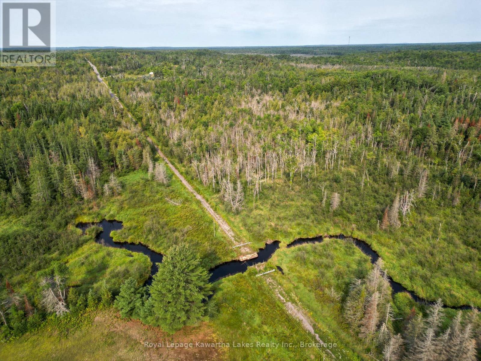 Lt 4 Dutch Line Road W, Trent Lakes, Ontario K0M 2A0 - Photo 7 - X13670424