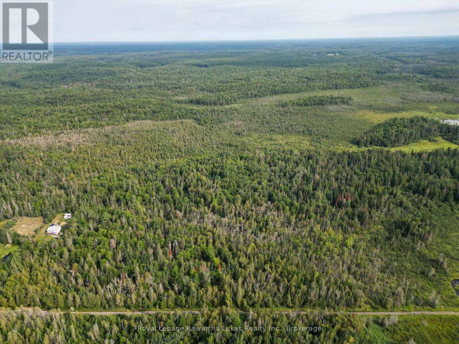 Lt 4 Dutch Line Road W, Trent Lakes, Ontario K0M 2A0 - Photo 8 - X13670424