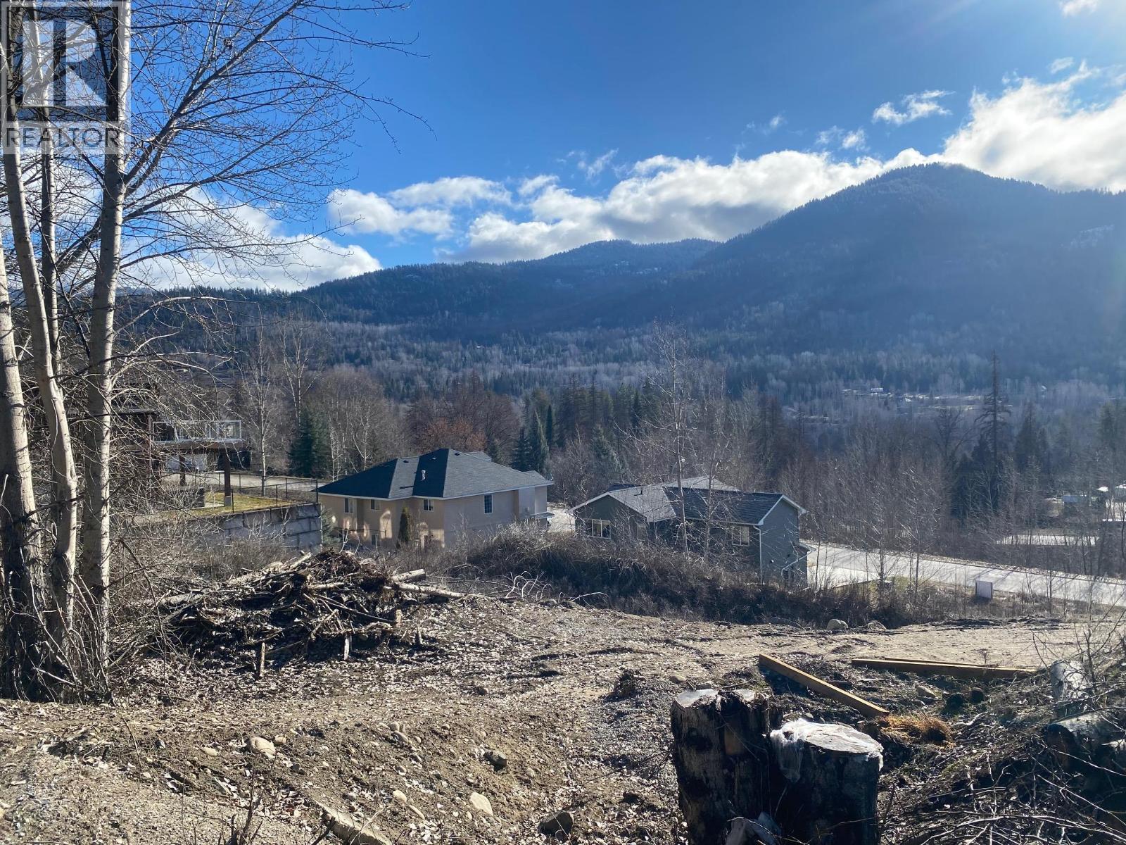 933 7th Street, Montrose, British Columbia  V0G 1P0 - Photo 6 - 10370435