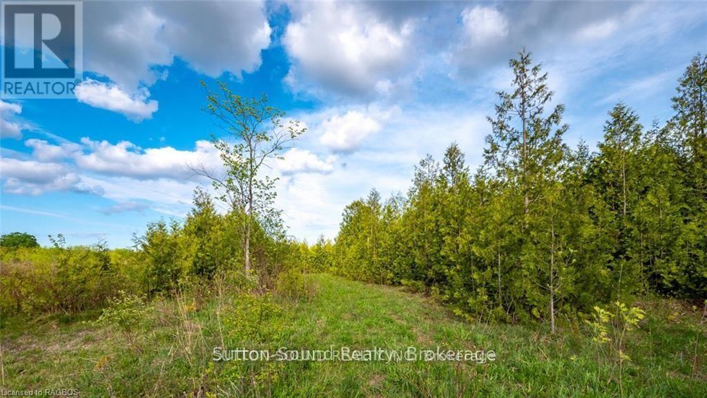 Lot 34 Dawson Road, Georgian Bluffs, Ontario  N0H 1S0 - Photo 7 - X13670138