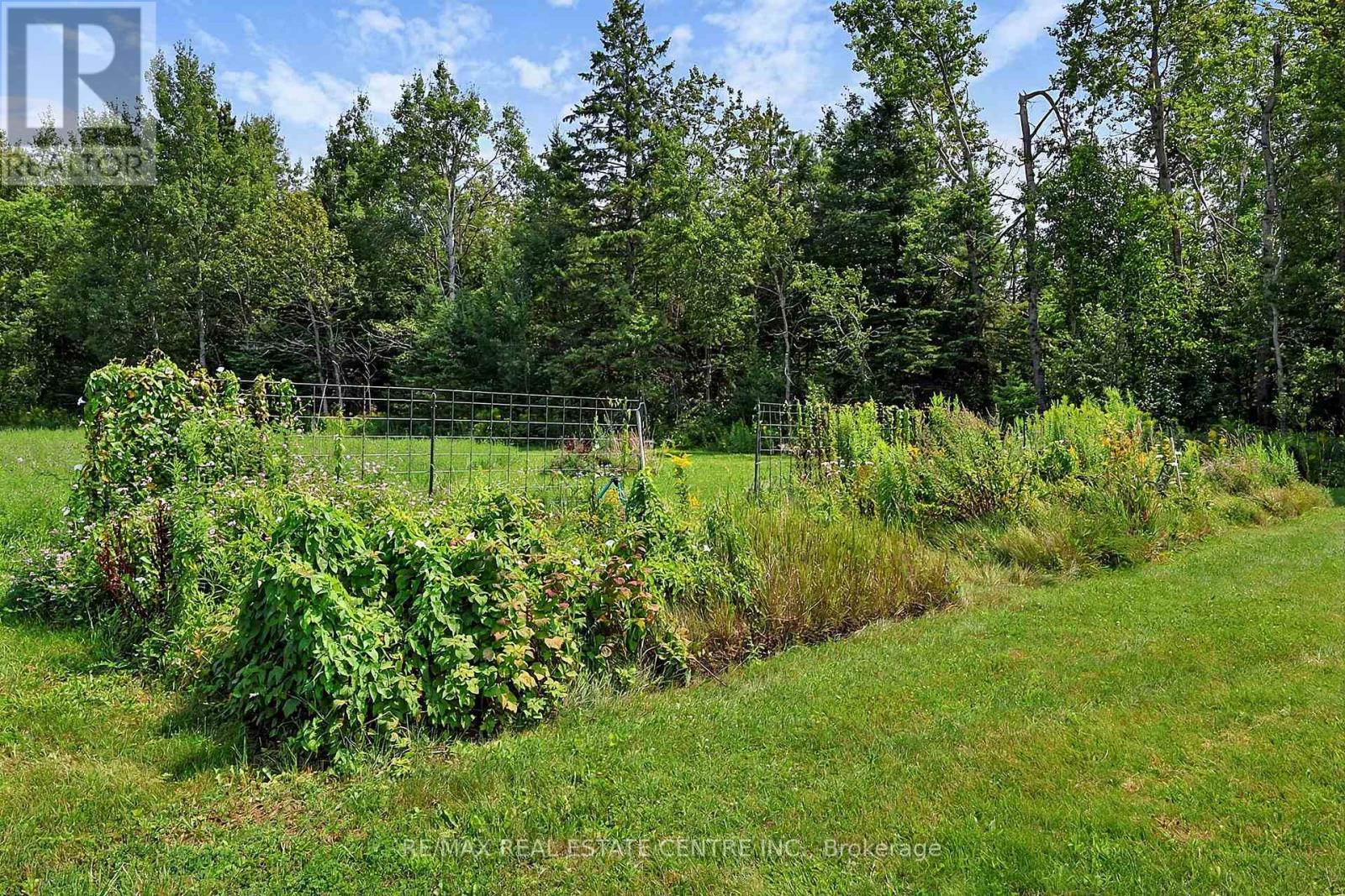 398019 5th Line, Melancthon, Ontario  L9V 1R5 - Photo 47 - X13670442