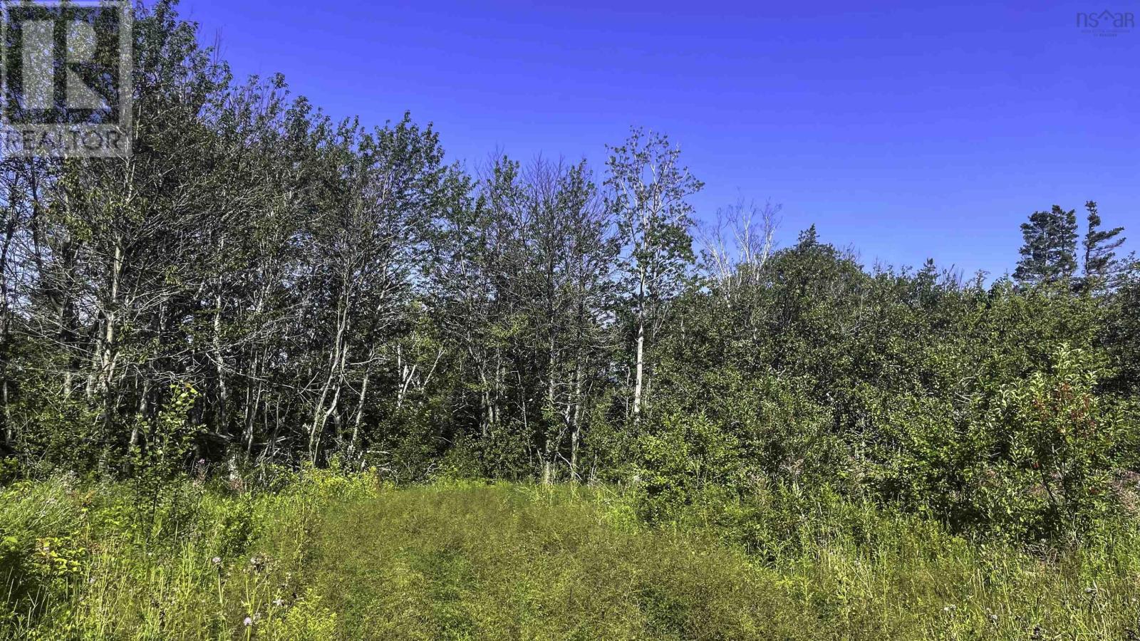 Lot B Fort Point Road, Weymouth North, Nova Scotia  B0W 3T0 - Photo 14 - 202620514