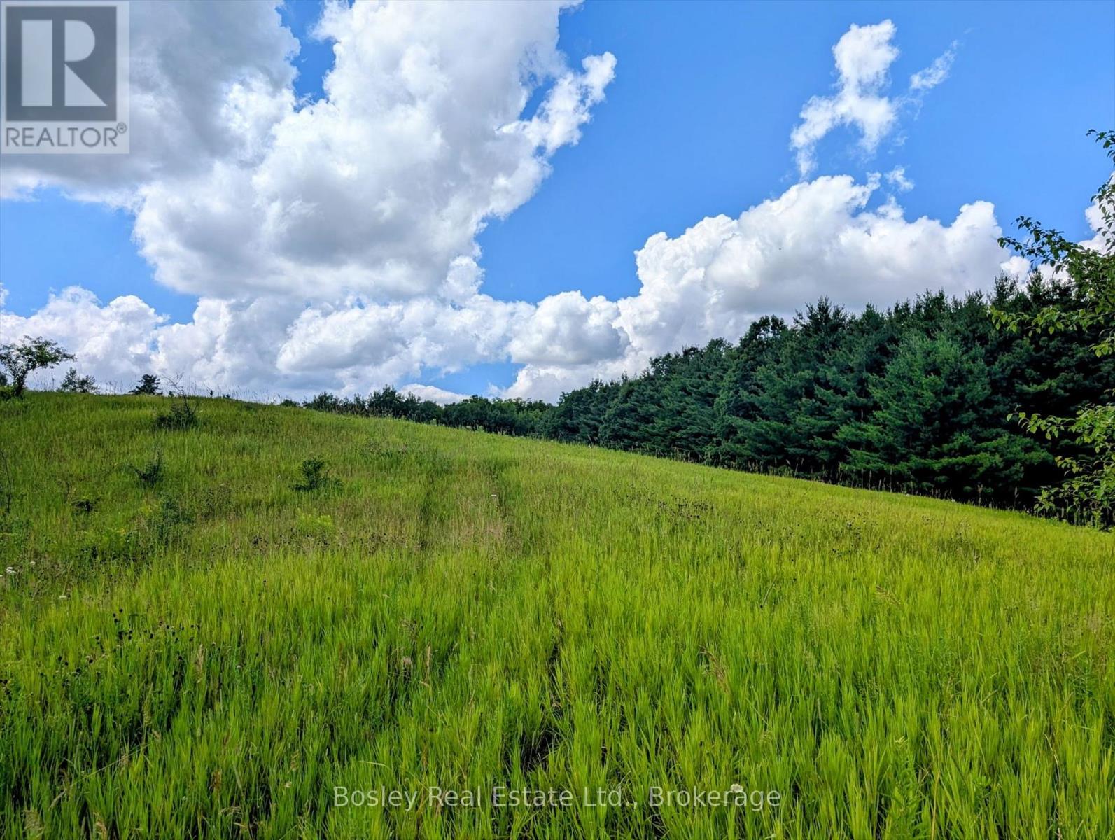4350 Watson Road S, Puslinch, Ontario  N0B 2J0 - Photo 13 - X13672204