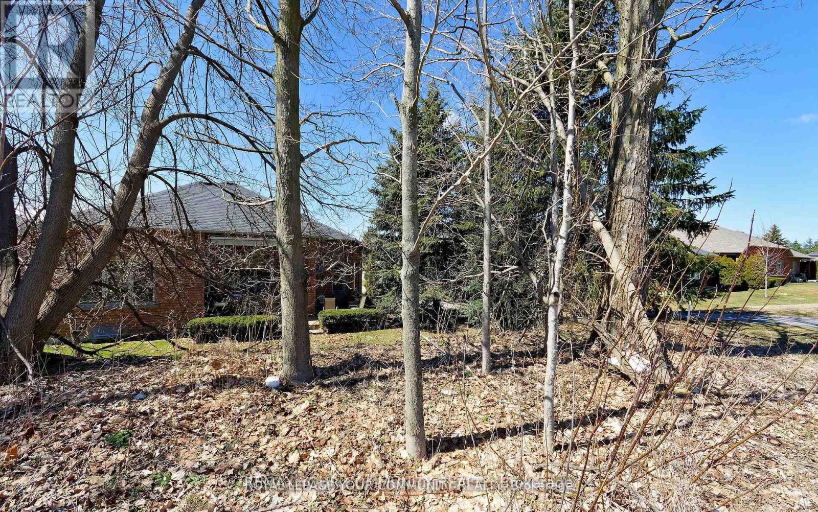 158 Legendary Trail, Whitchurch-Stouffville, Ontario  L4A 1N6 - Photo 36 - N13672306