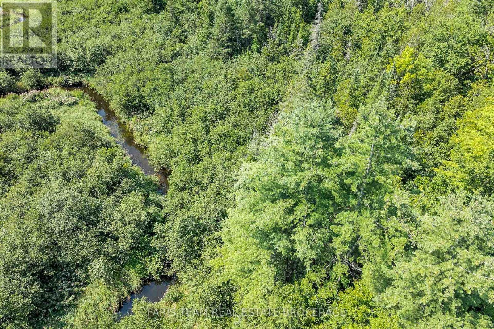 5609 Line 4 N, Oro-Medonte, Ontario  L0K 1N0 - Photo 12 - S13672416