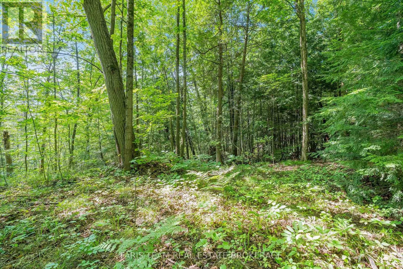 5609 Line 4 N, Oro-Medonte, Ontario  L0K 1N0 - Photo 6 - S13672416