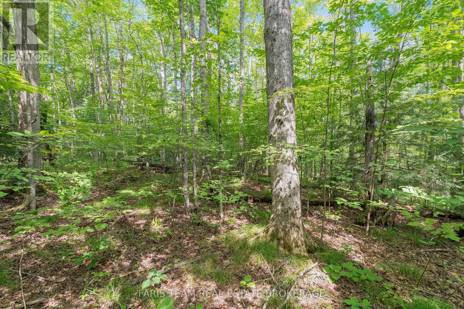 5609 Line 4 N, Oro-Medonte, Ontario  L0K 1N0 - Photo 7 - S13672416