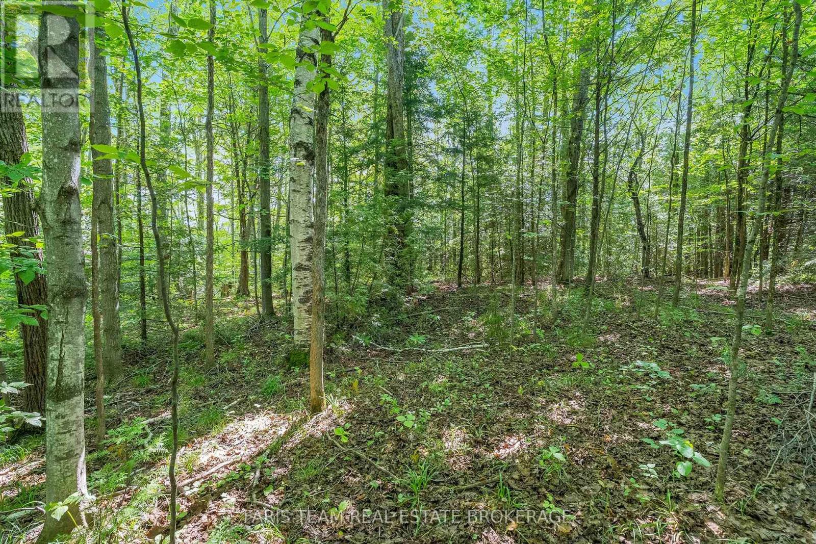 5609 Line 4 N, Oro-Medonte, Ontario  L0K 1N0 - Photo 8 - S13672416