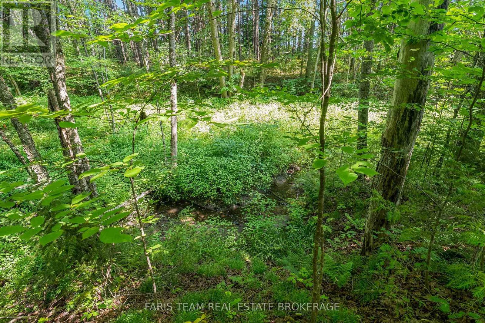 5609 Line 4 N, Oro-Medonte, Ontario  L0K 1N0 - Photo 9 - S13672416