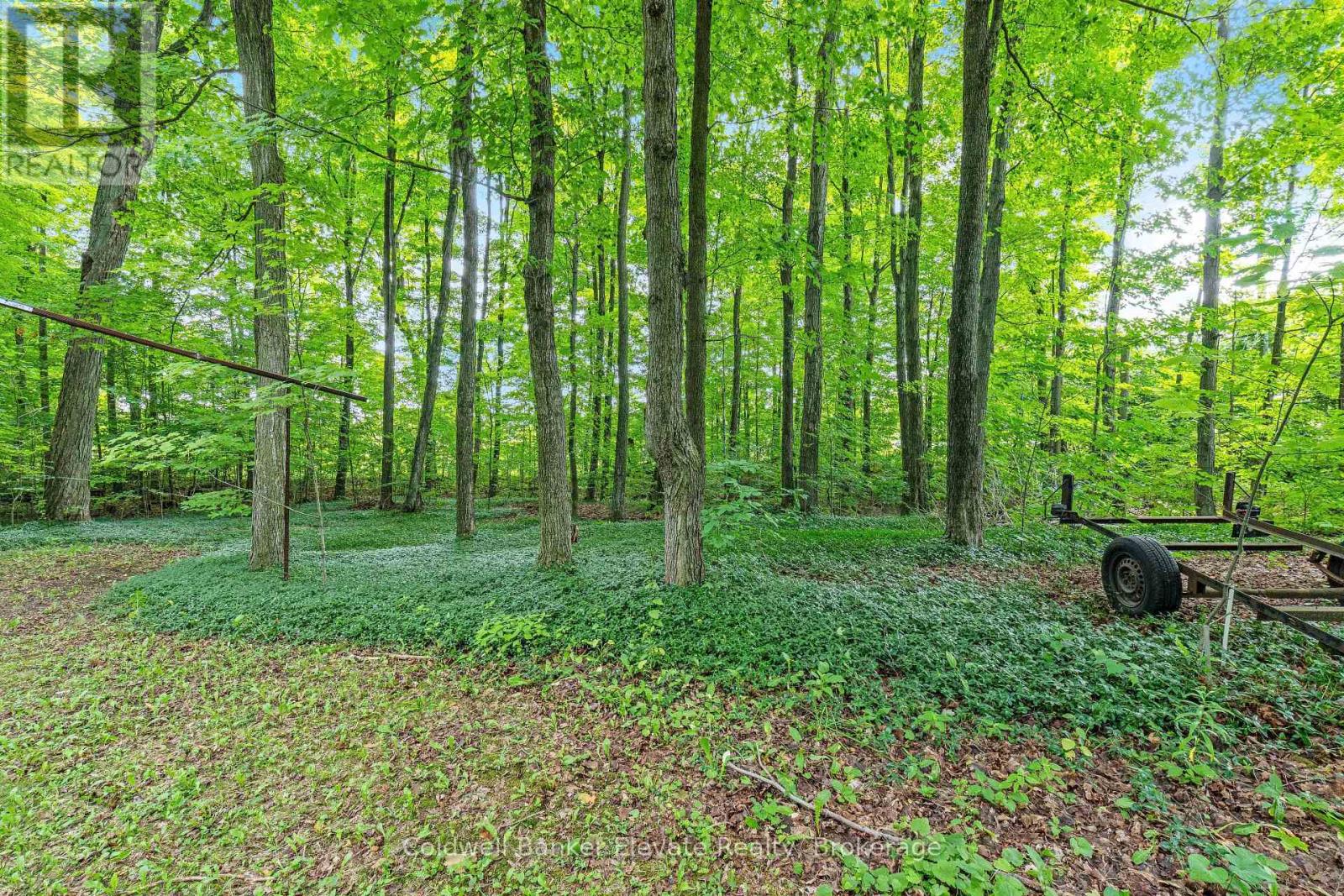 2529 Campbellville Road, Milton, Ontario  L9T 2X7 - Photo 31 - W13672364