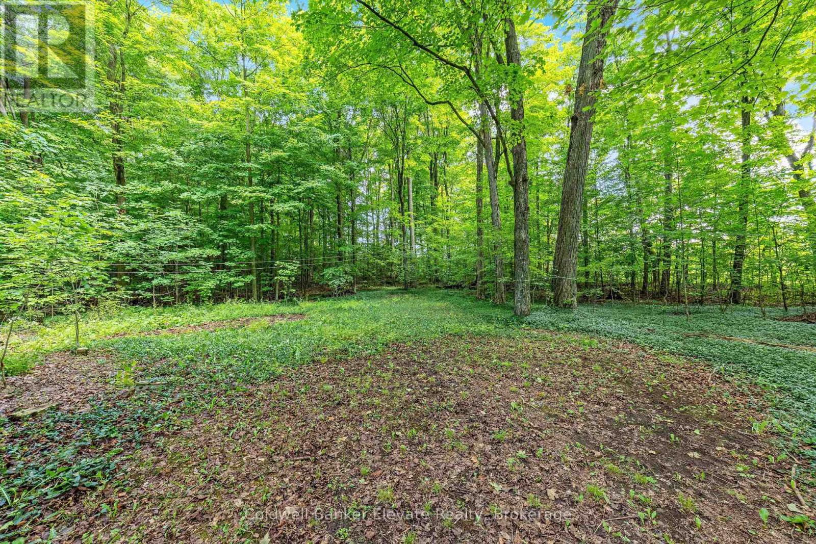 2529 Campbellville Road, Milton, Ontario  L9T 2X7 - Photo 32 - W13672364