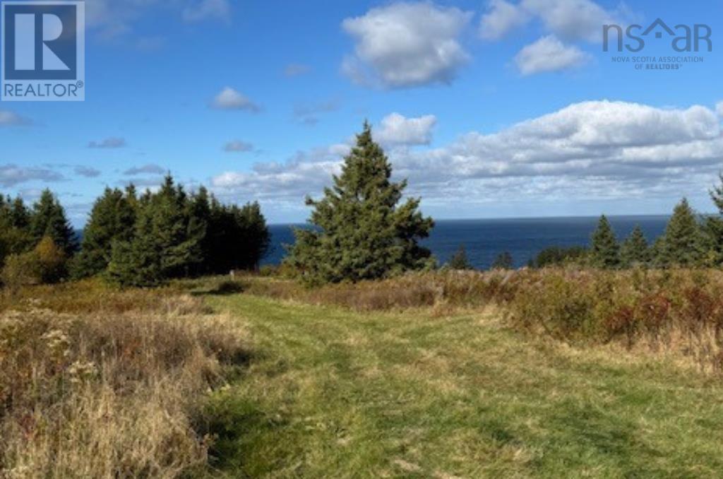 Lot (Pid 01290402) Highway 337, Cape George Point, Nova Scotia  B2G 2L2 - Photo 1 - 202426343