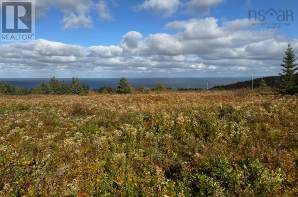 Lot (Pid 01290402) Highway 337, Cape George Point, Nova Scotia  B2G 2L2 - Photo 10 - 202426343