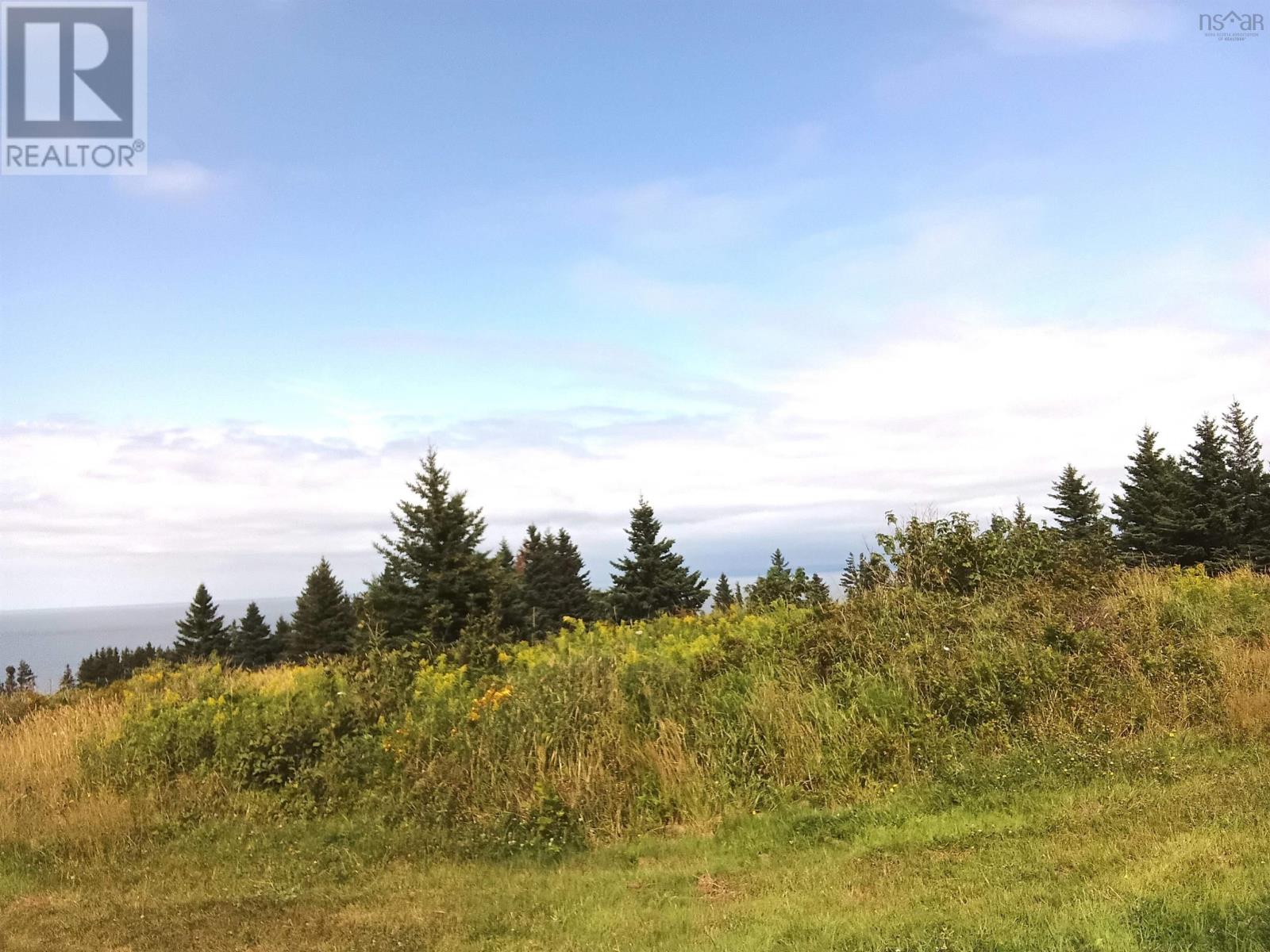 Lot (Pid 01290402) Highway 337, Cape George Point, Nova Scotia  B2G 2L2 - Photo 8 - 202426343