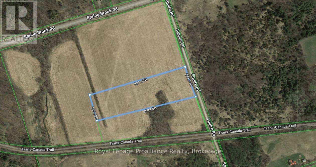 000 Squire Road, Stirling-Rawdon, Ontario  K0K 3C0 - Photo 3 - X13672698