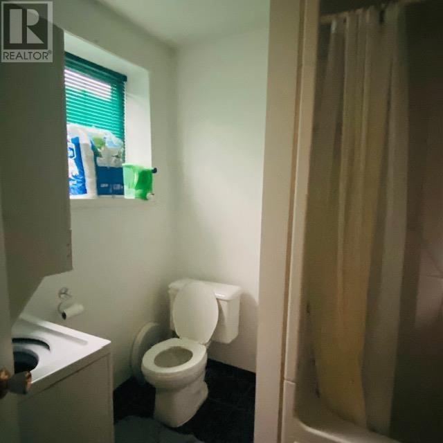 102 Nishnabe Miikena Rd, Longlac, Ontario  P0T 2A0 - Photo 22 - TB2602357