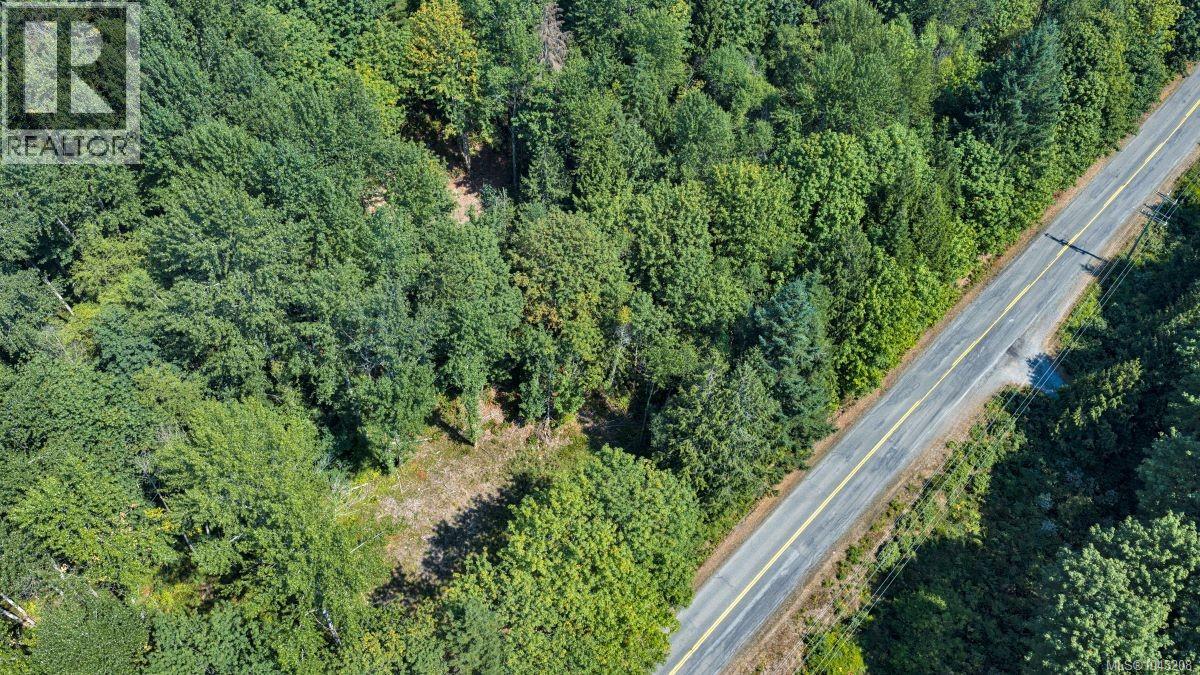 Lot B 7531 Cowichan Lake Rd, Lake Cowichan, British Columbia  V0R 2G0 - Photo 10 - 1043208