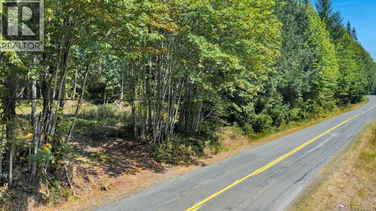 Lot B 7531 Cowichan Lake Rd, Lake Cowichan, British Columbia  V0R 2G0 - Photo 8 - 1043208