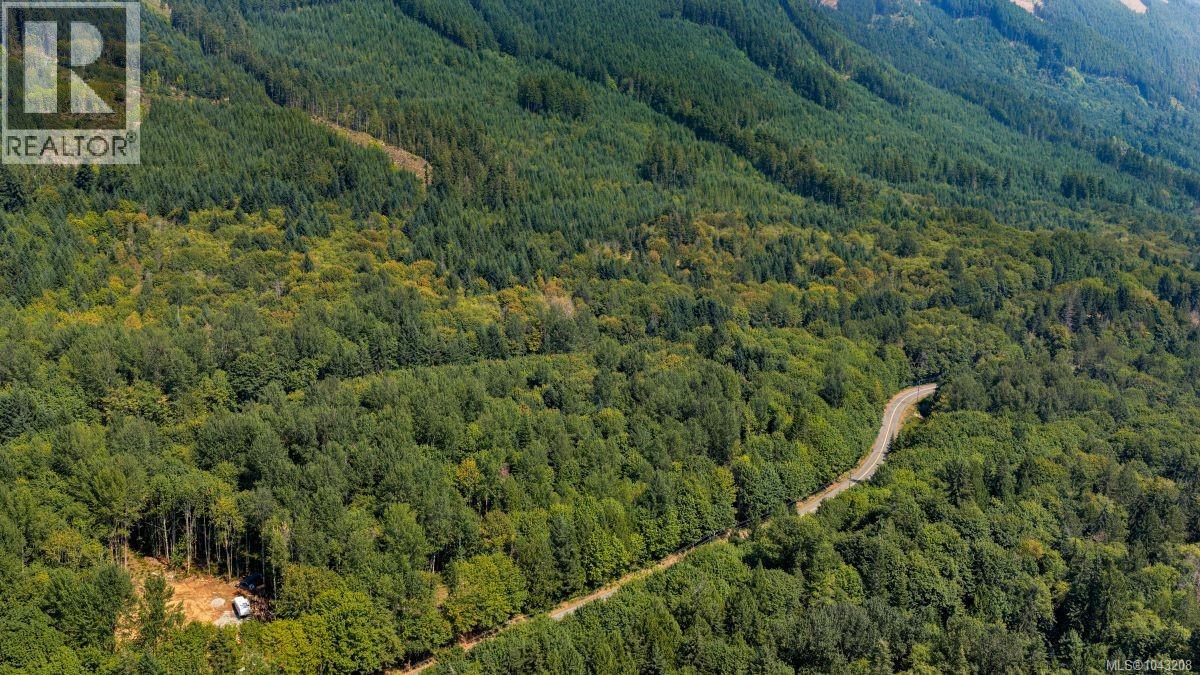 Lot B 7531 Cowichan Lake Rd, Lake Cowichan, British Columbia  V0R 2G0 - Photo 4 - 1043208