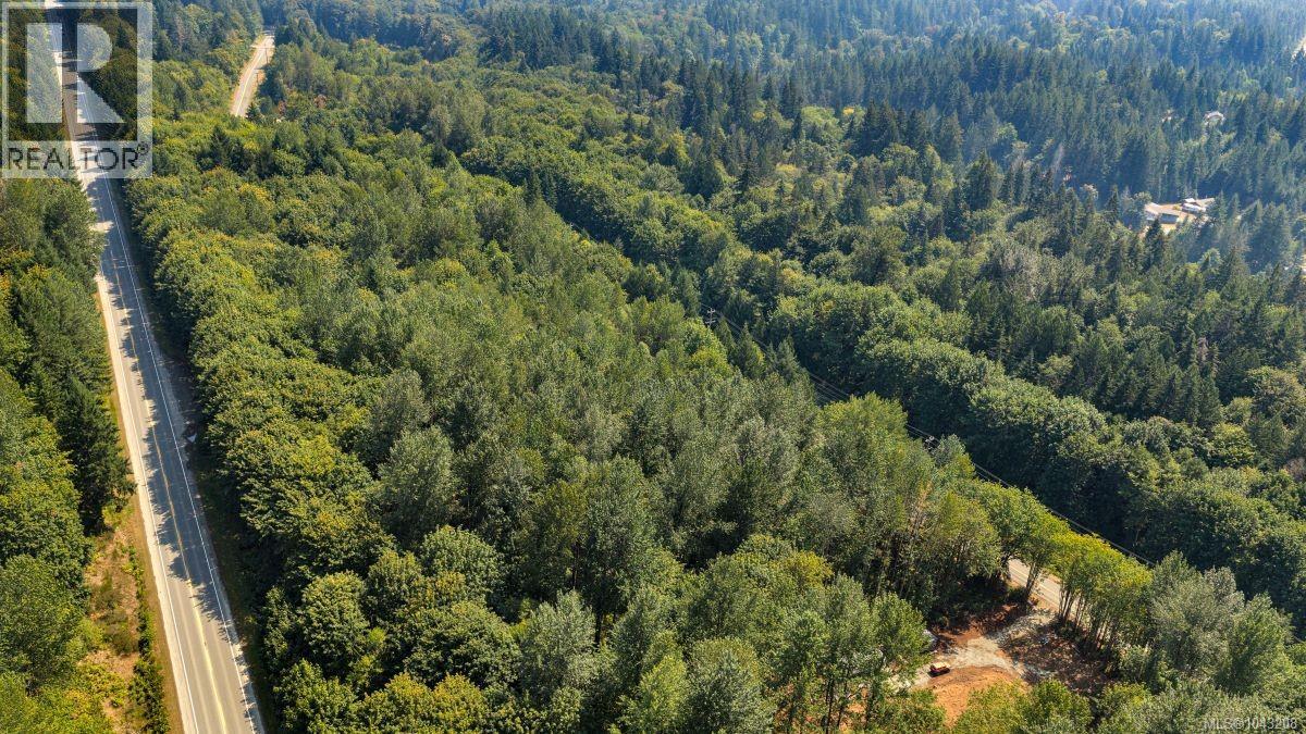 Lot B 7531 Cowichan Lake Rd, Lake Cowichan, British Columbia  V0R 2G0 - Photo 6 - 1043208