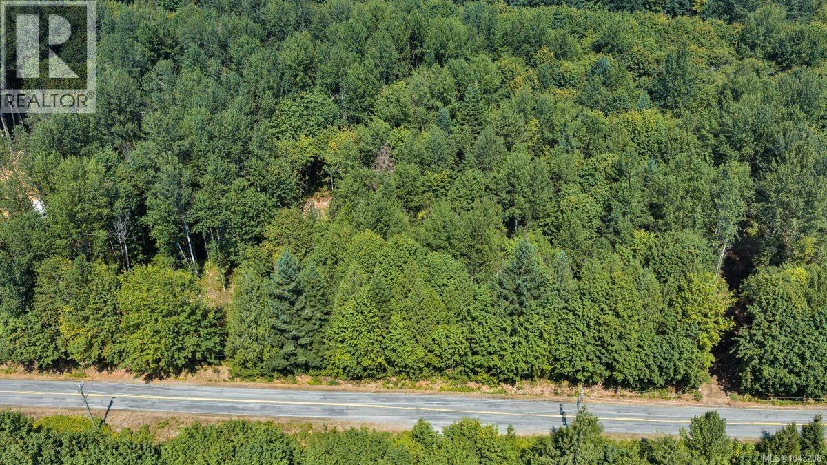 Lot B 7531 Cowichan Lake Rd, Lake Cowichan, British Columbia  V0R 2G0 - Photo 11 - 1043208
