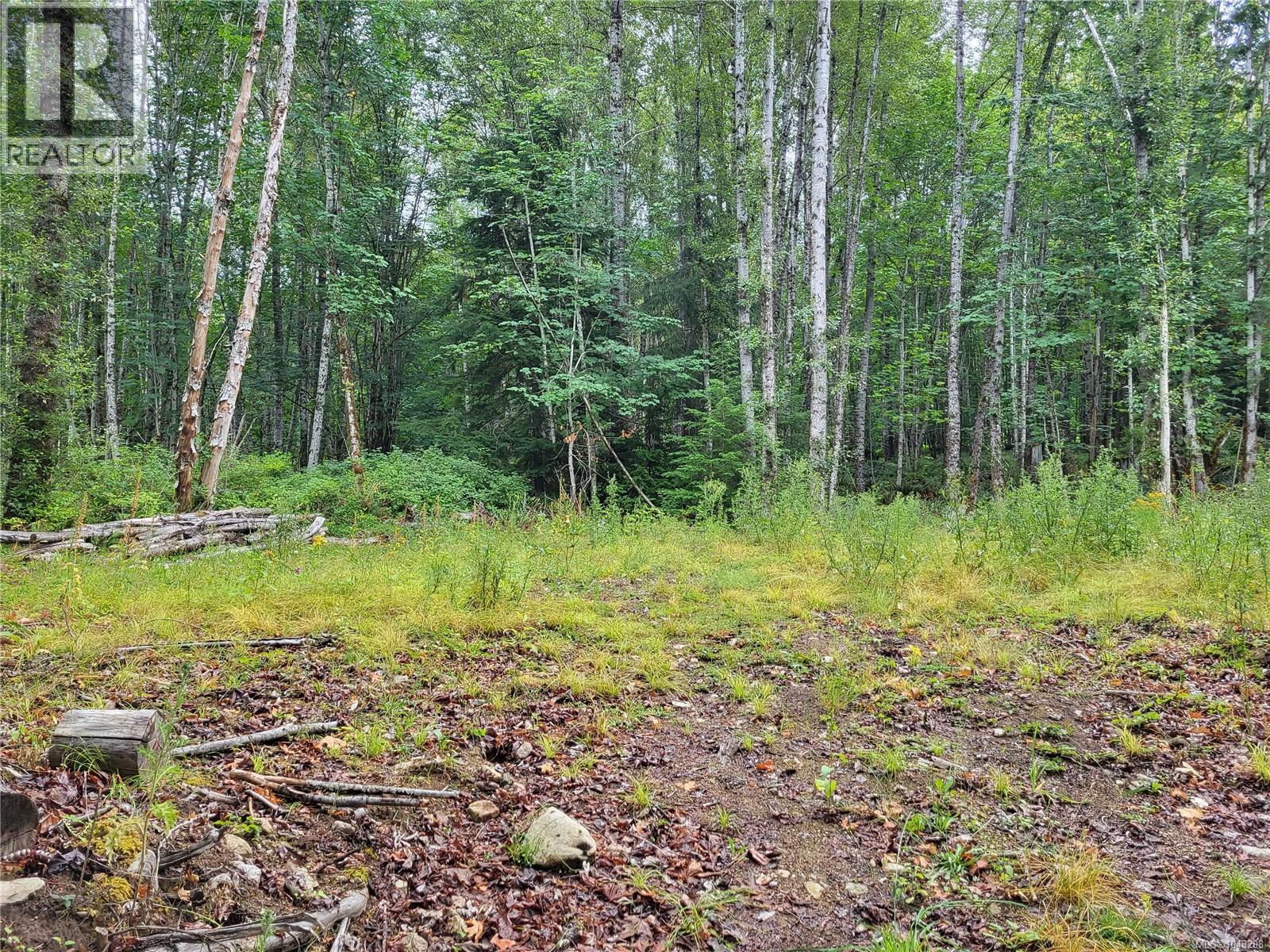 Lot B 7531 Cowichan Lake Rd, Lake Cowichan, British Columbia  V0R 2G0 - Photo 2 - 1043208