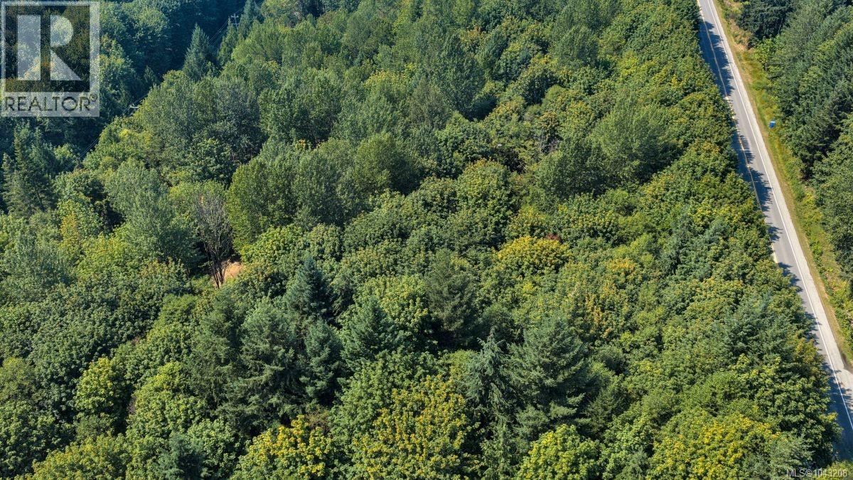 Lot B 7531 Cowichan Lake Rd, Lake Cowichan, British Columbia  V0R 2G0 - Photo 12 - 1043208