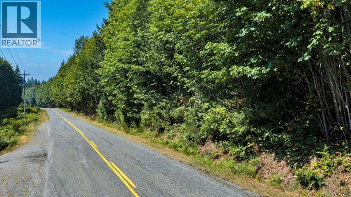 Lot B 7531 Cowichan Lake Rd, Lake Cowichan, British Columbia  V0R 2G0 - Photo 7 - 1043208