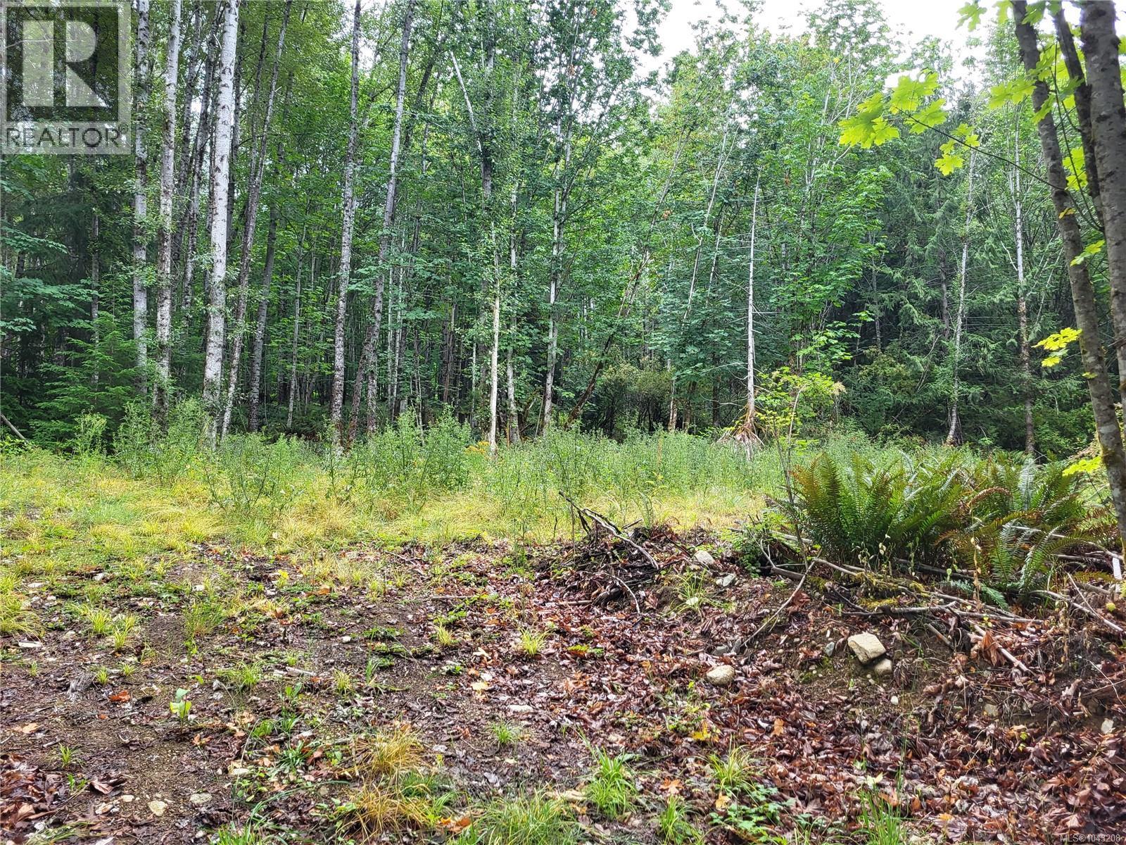 Lot B 7531 Cowichan Lake Rd, Lake Cowichan, British Columbia
