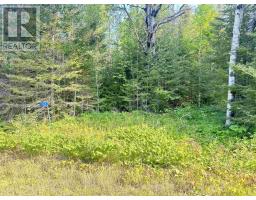 263 CLOUD RIVER RD E, NEEBING, Ontario