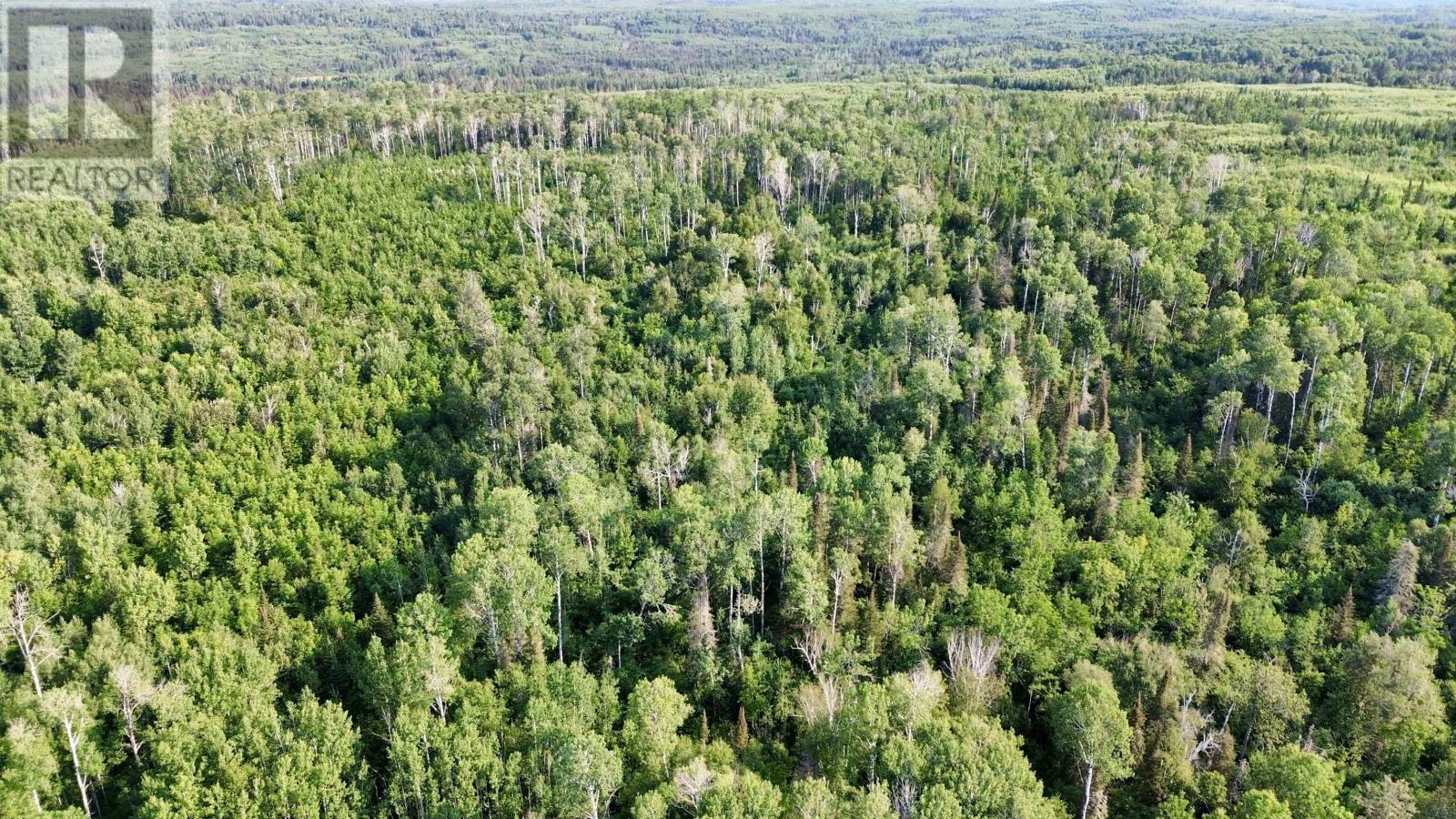 263 Cloud River Rd E, Neebing, Ontario  P7L 0A9 - Photo 5 - TB2602349