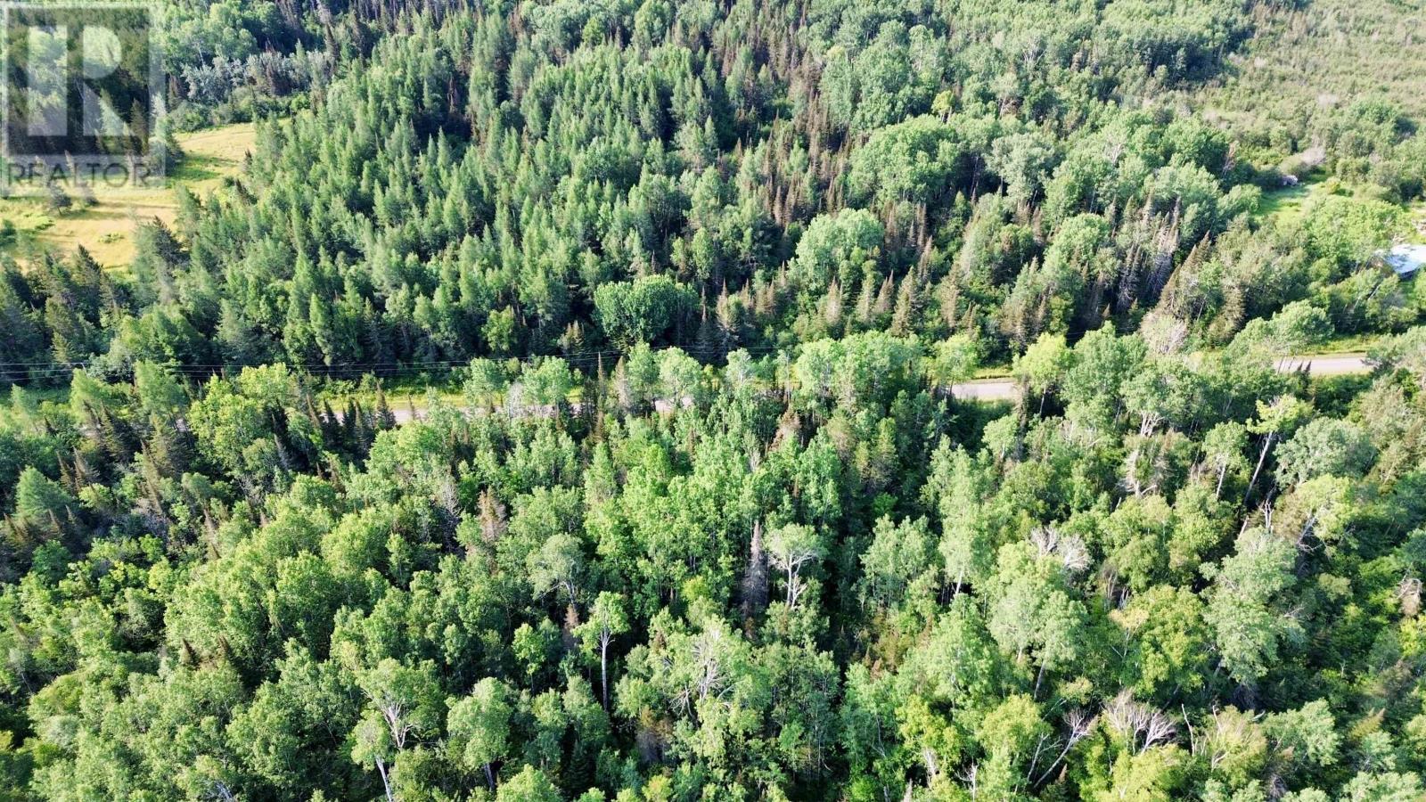 263 Cloud River Rd E, Neebing, Ontario  P7L 0A9 - Photo 9 - TB2602349