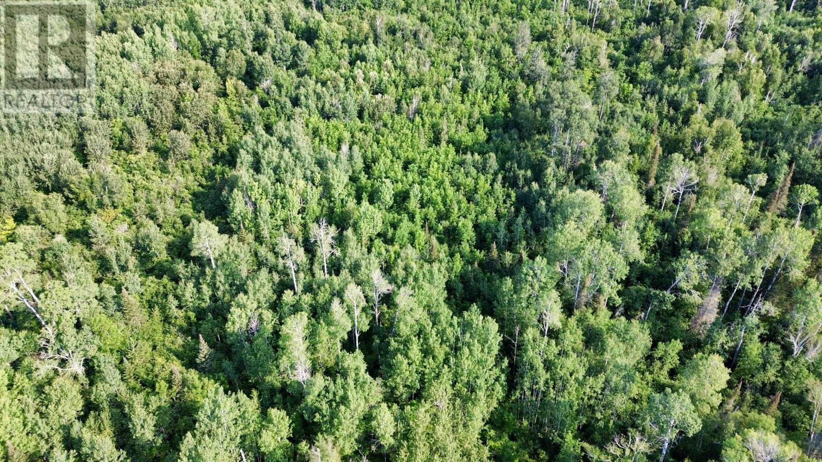 263 Cloud River Rd E, Neebing, Ontario  P7L 0A9 - Photo 10 - TB2602349