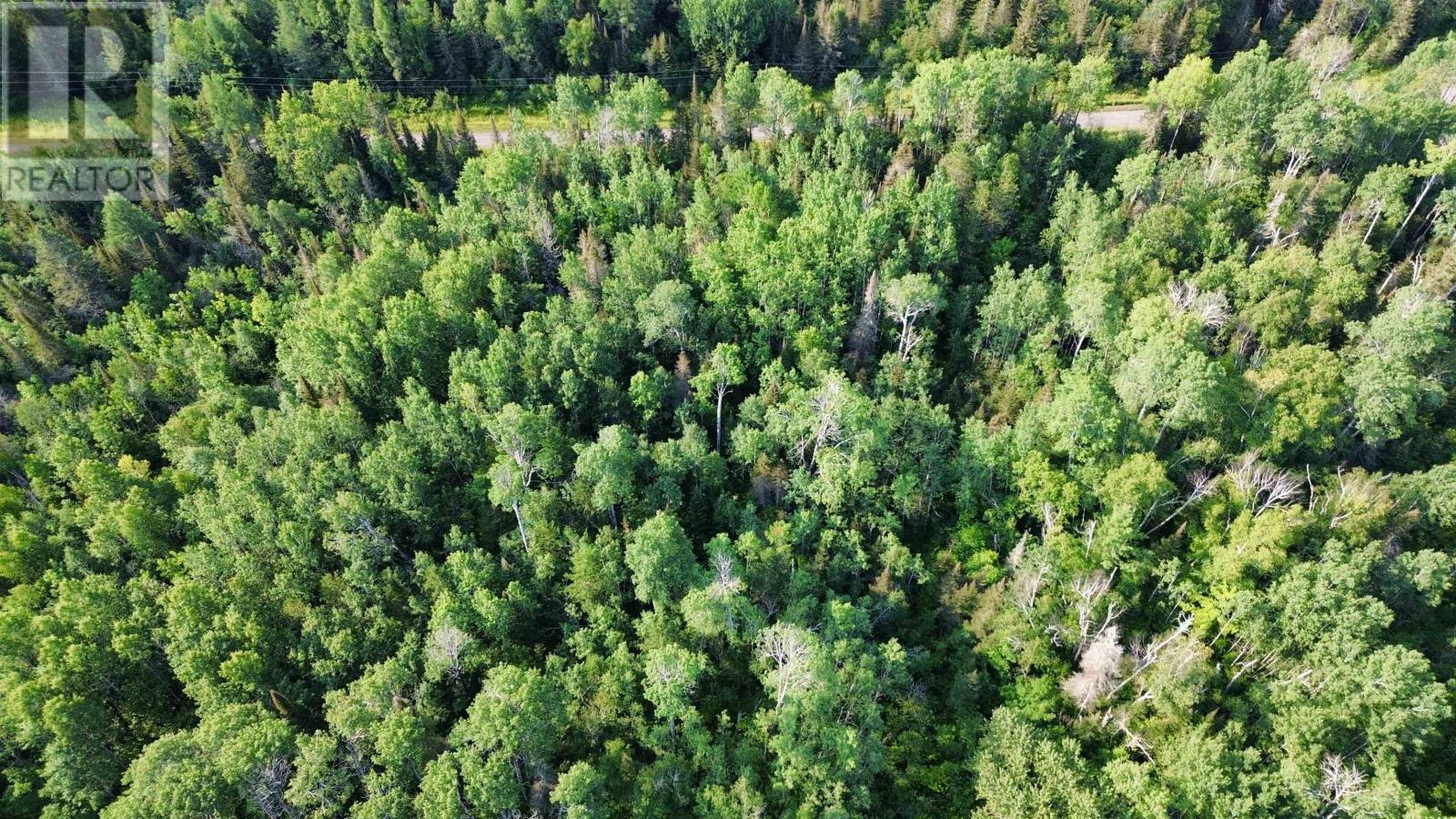 263 Cloud River Rd E, Neebing, Ontario  P7L 0A9 - Photo 6 - TB2602349