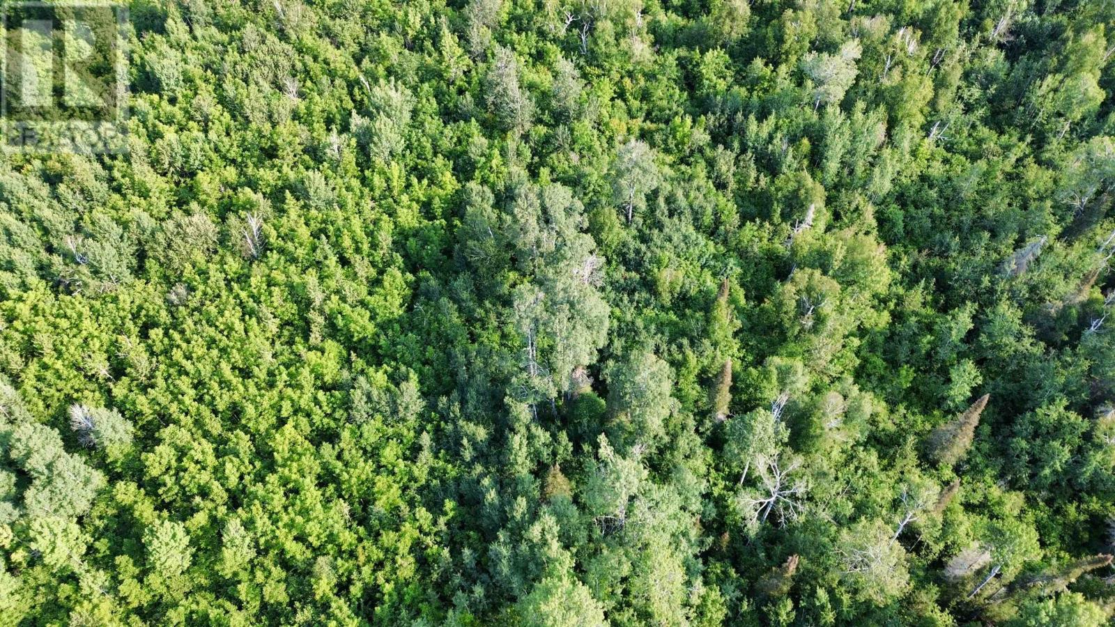 263 Cloud River Rd E, Neebing, Ontario  P7L 0A9 - Photo 8 - TB2602349