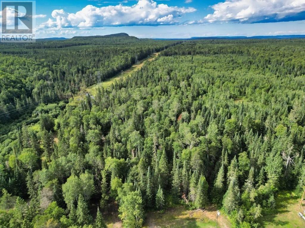 358 Hwy 11/17, Nipigon, Ontario  P0T 2J0 - Photo 48 - TB2602354
