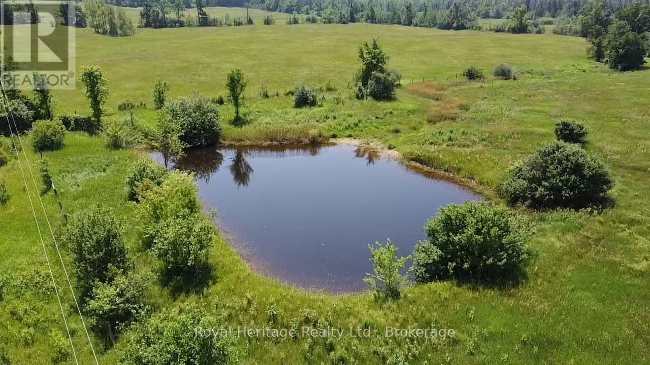 705 Bulmers Road, Kawartha Lakes, Ontario  K0M 1N0 - Photo 25 - X13555140