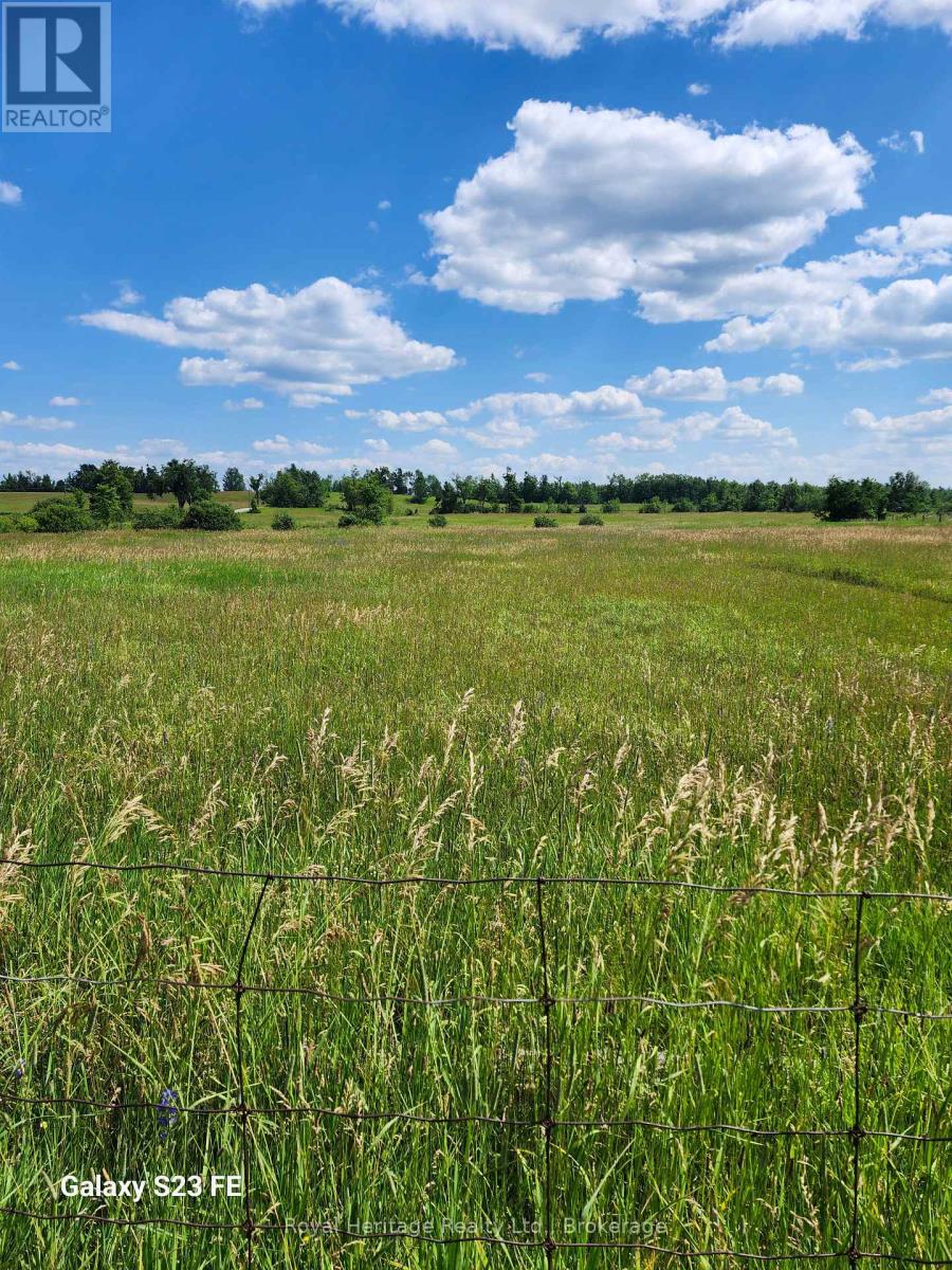 705 Bulmers Road, Kawartha Lakes, Ontario  K0M 1N0 - Photo 26 - X13555140
