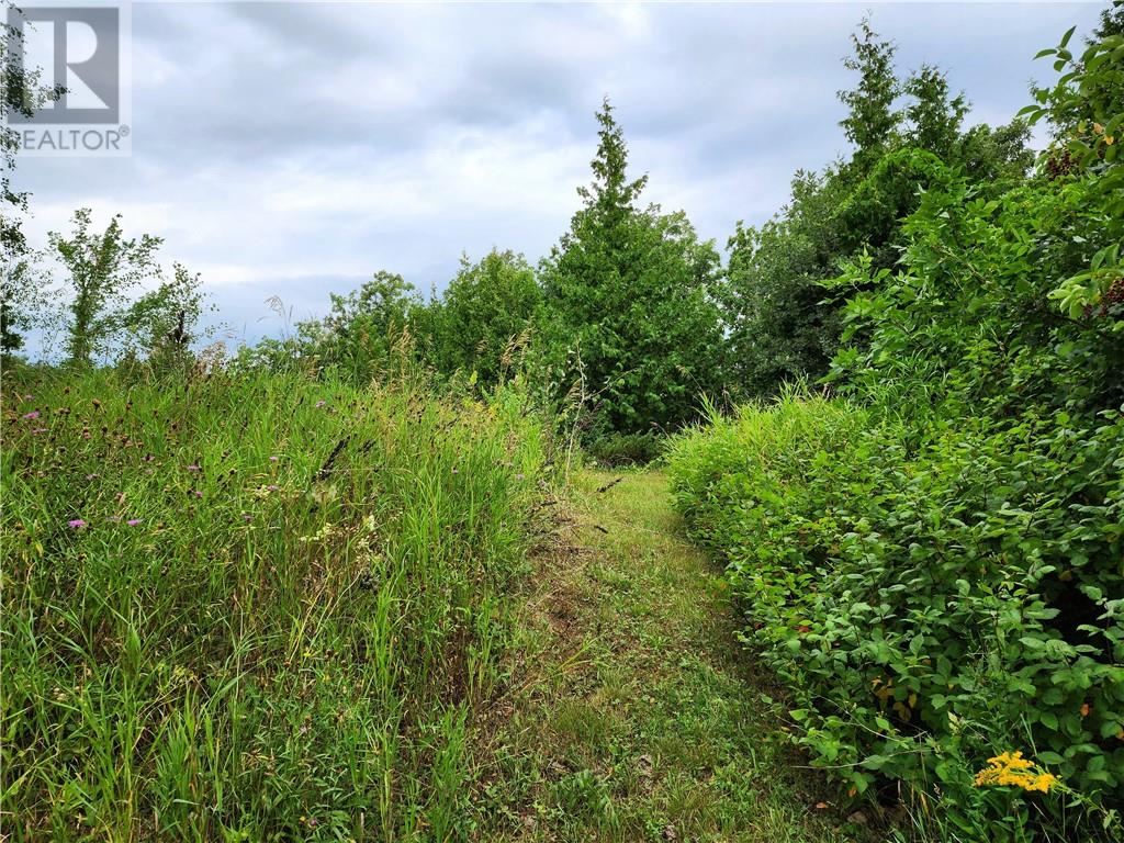 9548d Hwy#6, Meadowview Ln, Little Current, Ontario  P0P 1K0 - Photo 23 - 2129638