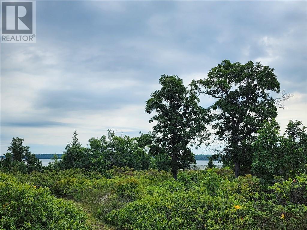 9548d Hwy#6, Meadowview Ln, Little Current, Ontario  P0P 1K0 - Photo 26 - 2129638