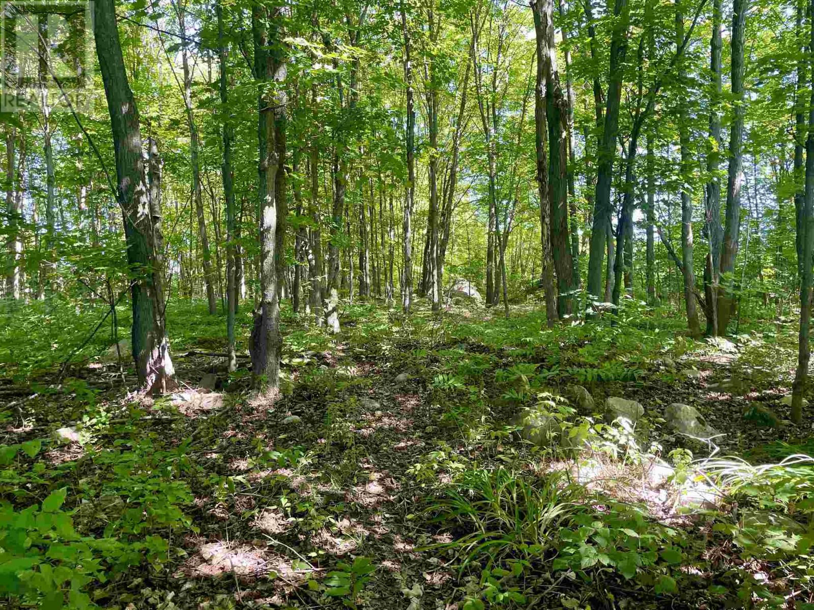 6 Smith Pl, Elliot Lake, Ontario  P5A 1R5 - Photo 17 - SM262178