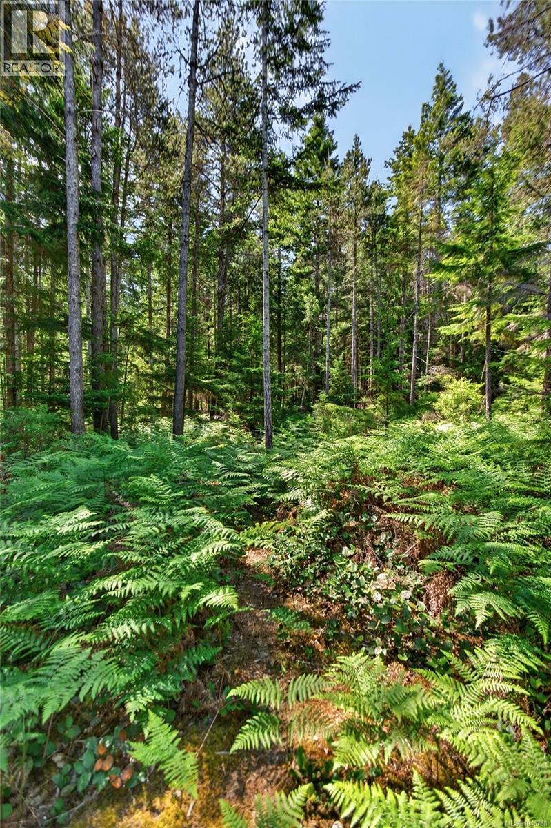 657 Sierra Pines Rd, Comox, British Columbia  V9M 3W8 - Photo 65 - 1046788