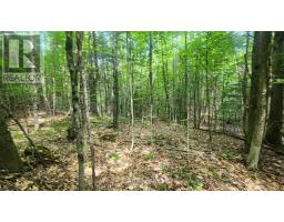 00 CANAAN ROAD, McNab/Braeside, Ontario