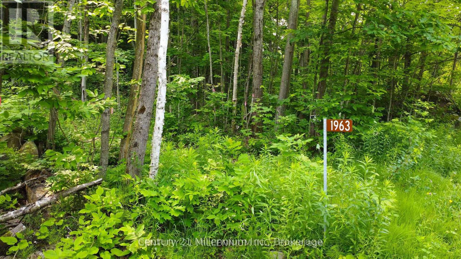 1963 Lot 52 Tiny Beaches Road N, Tiny, Ontario L9M 0H8 - Photo 4 - S13673102