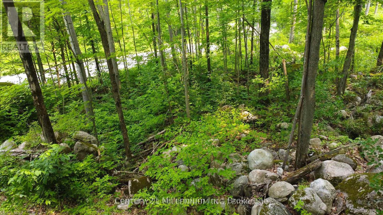 1963 Lot 52 Tiny Beaches Road N, Tiny, Ontario L9M 0H8 - Photo 7 - S13673102