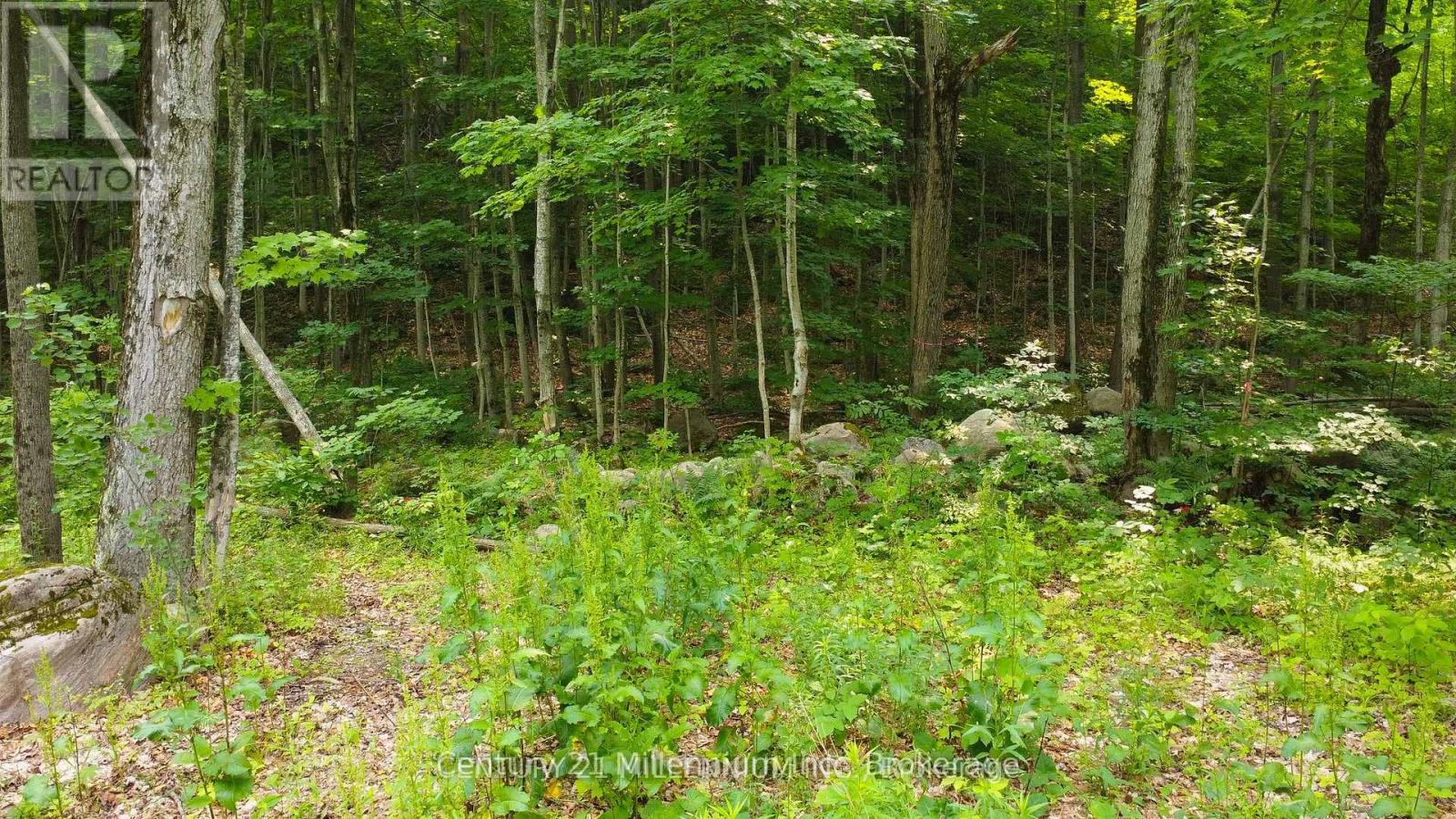 1963 Lot 52 Tiny Beaches Road N, Tiny, Ontario L9M 0H8 - Photo 8 - S13673102