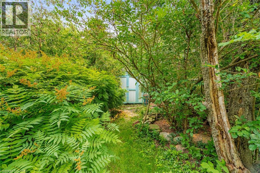 25 Arch Road, Mississauga, Ontario  L5M 1M4 - Photo 36 - 40855685