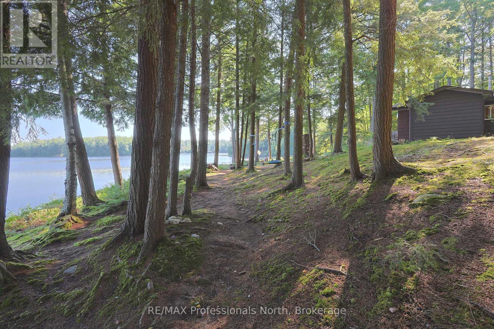 1365 Dickie Lake Road, Lake Of Bays (Mclean), Ontario  P0B 1A0 - Photo 12 - X13673126