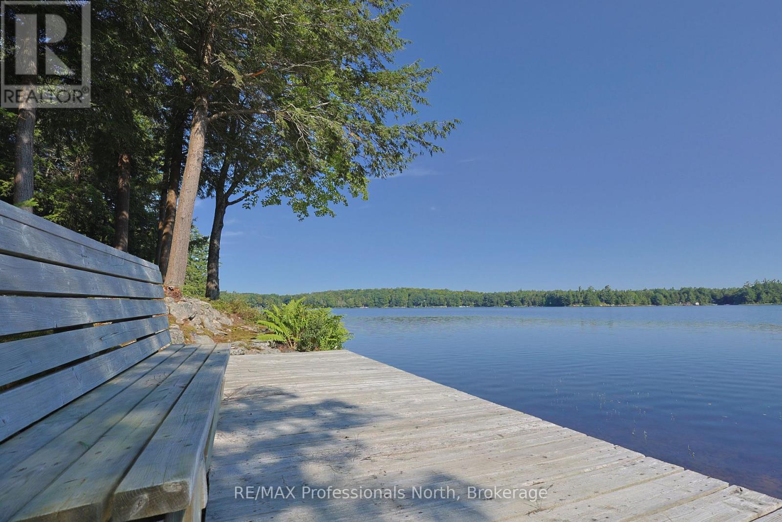 1365 Dickie Lake Road, Lake Of Bays (Mclean), Ontario  P0B 1A0 - Photo 13 - X13673126